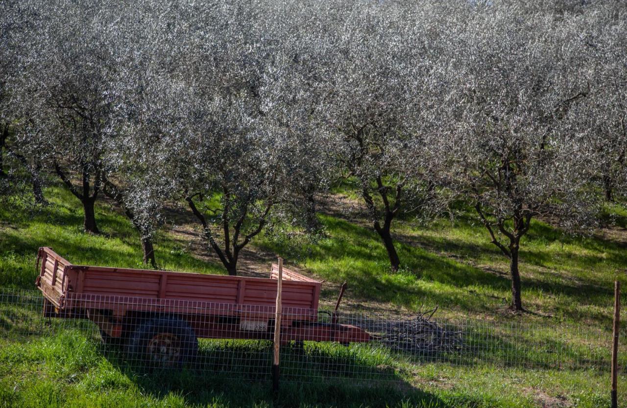 Locanda Agricola Posapiano 몬테카를로 외부 사진